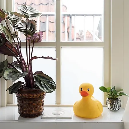 Homestay Rembrandt Studio's Amsterdam