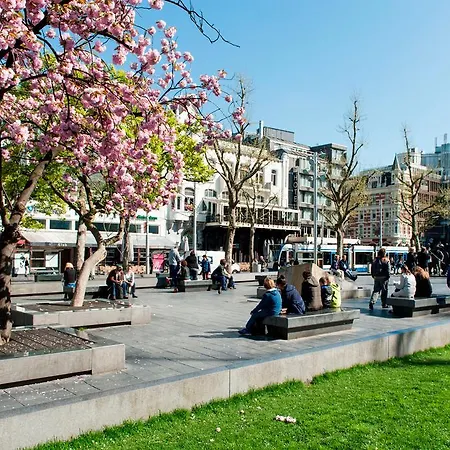 Rembrandt Studio's *