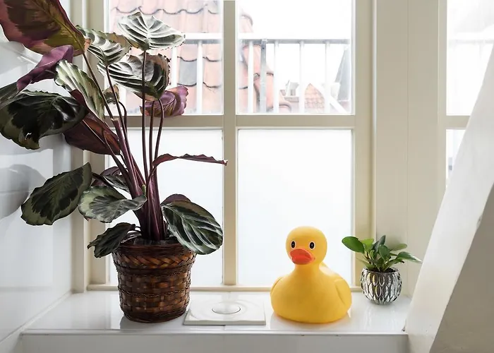 Homestay Rembrandt Studio's Amsterdam