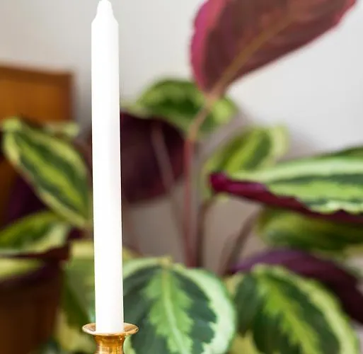 Homestay Rembrandt Studio's