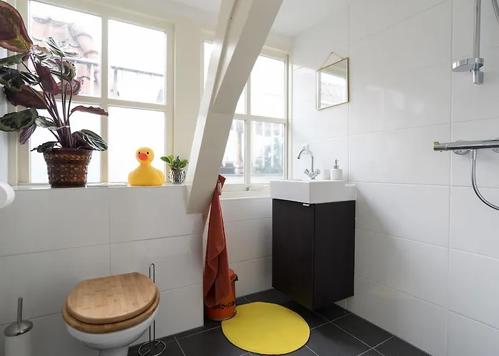 Séjour chez l'habitant Rembrandt Studio's *