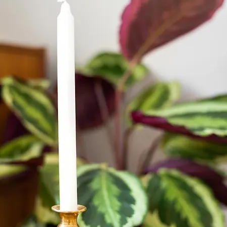 ホームステイ Rembrandt Studio's